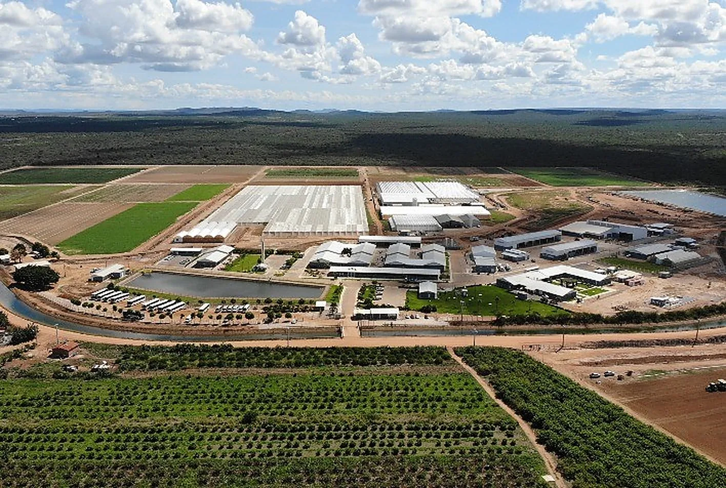 Obra de estufas